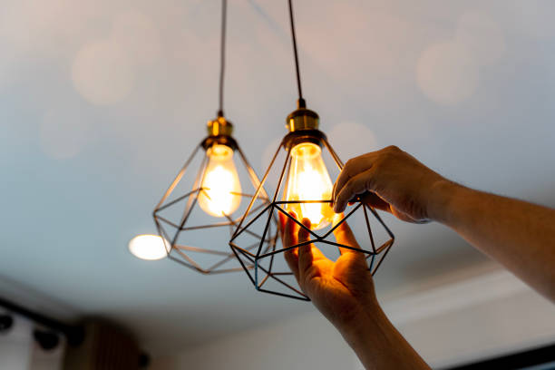 Best Licensed Electrician  in Travis Ranch, TX