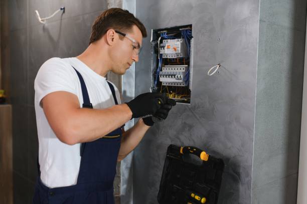 Best Electrician for Home Renovation  in Travis Ranch, TX